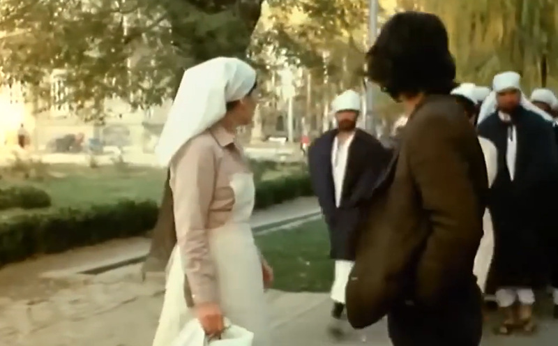دایره مینا